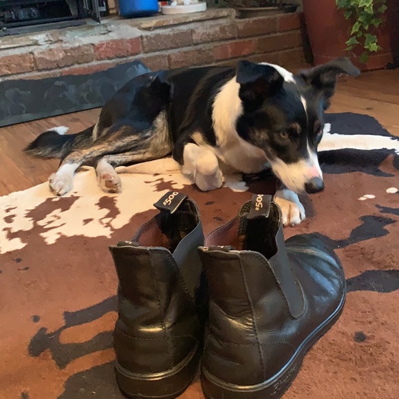 Blundstone | Sz 12 - Picture 4 of 15